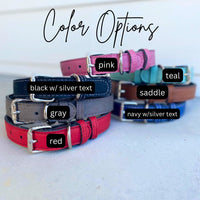 Leather Dog Collar | Custom Dog Gifts | Custom Dog Collars | Dog Dad Gifts | Dog Mom Gifts | Personalized Collar | Dog Tag | Dog Lover Gift